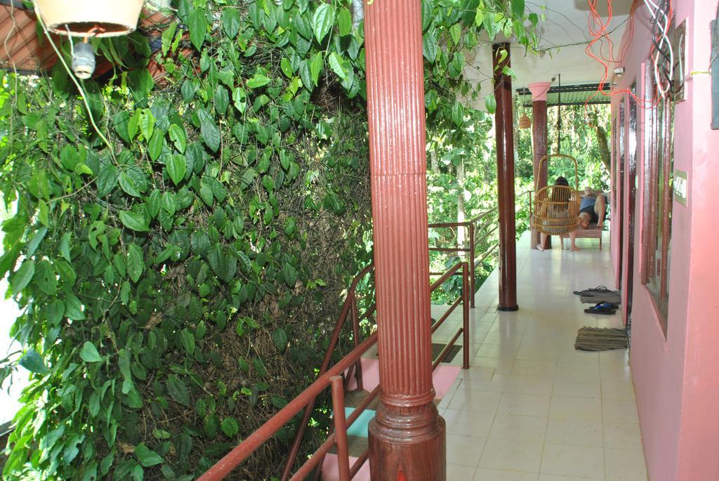 Jungleparadiso Homestay Thekkady Esterno foto
