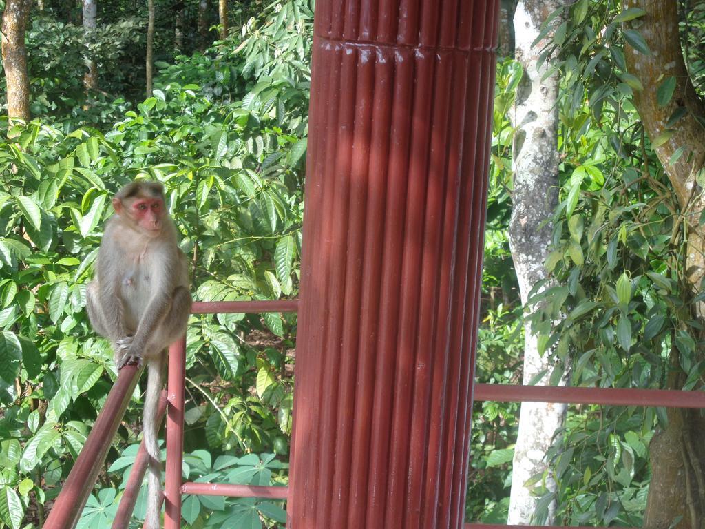 Jungleparadiso Homestay Thekkady Esterno foto