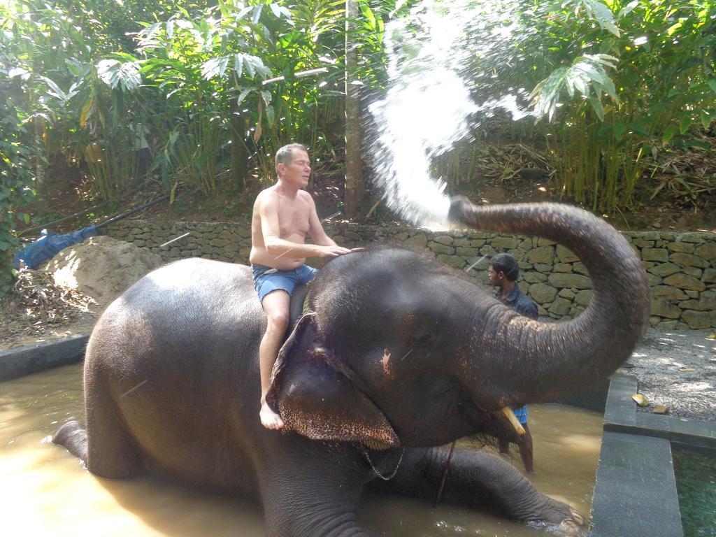 Jungleparadiso Homestay Thekkady Esterno foto