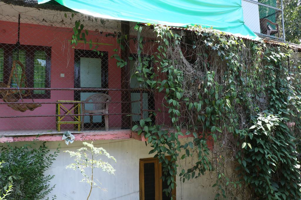 Jungleparadiso Homestay Thekkady Esterno foto