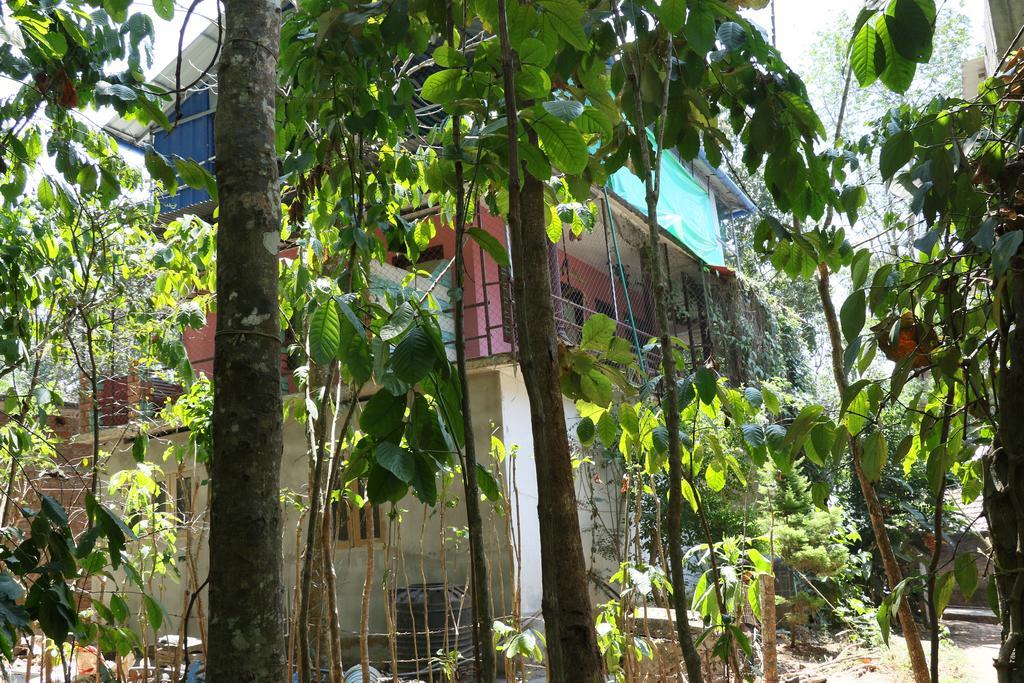 Jungleparadiso Homestay Thekkady Esterno foto