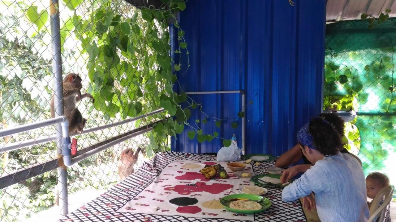 Jungleparadiso Homestay Thekkady Esterno foto